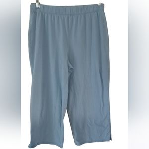Lovable Powder Blue Mid-Calf Pants - Size: Large- NWOT